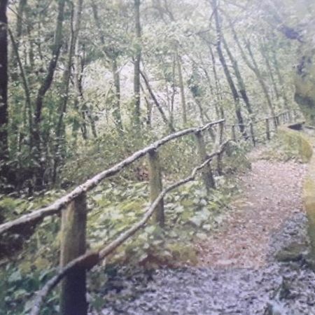 Brenas Garden C9 Lägenhet Breña Baja Exteriör bild