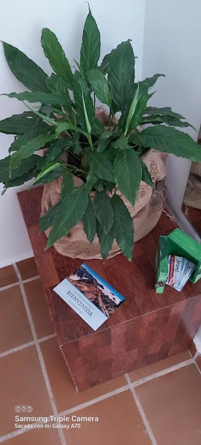 Brenas Garden C9 Lägenhet Breña Baja Exteriör bild